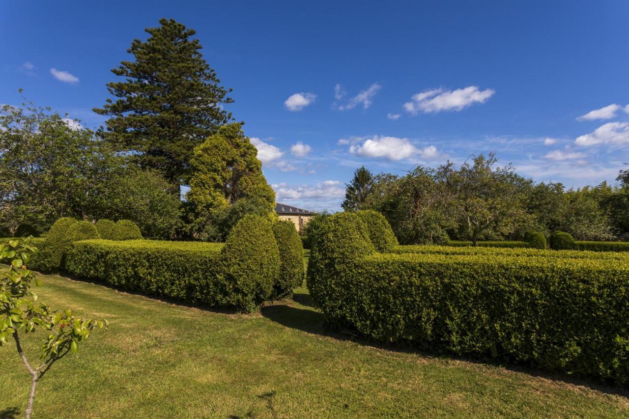 Araucaria House Guest House Барейрос Екстериор снимка